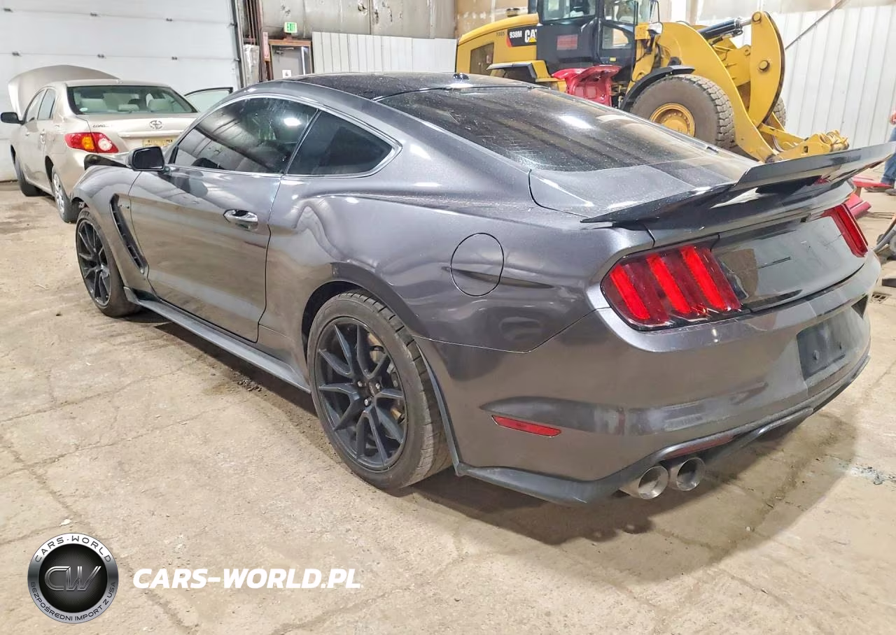 2019 Ford Mustang Shelby Gt350 VIN:1FA6P8JZ2K5550801 - 2