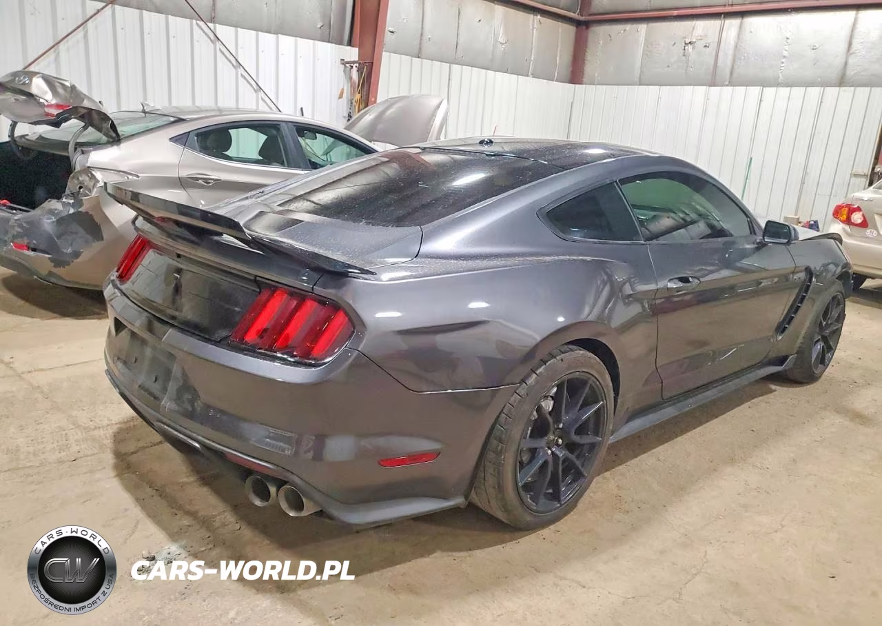 2019 Ford Mustang Shelby Gt350 VIN:1FA6P8JZ2K5550801 - 3