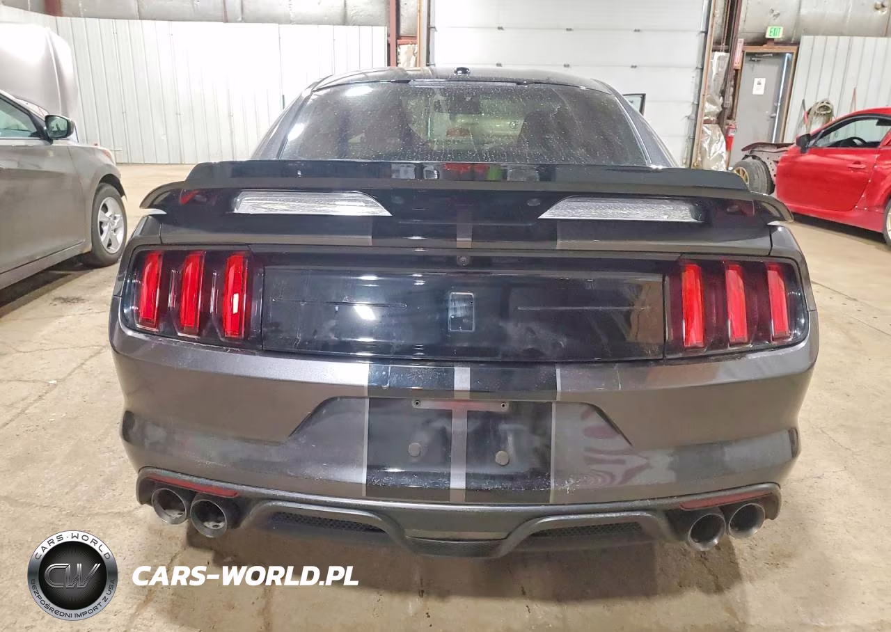 2019 Ford Mustang Shelby Gt350 VIN:1FA6P8JZ2K5550801 - 6