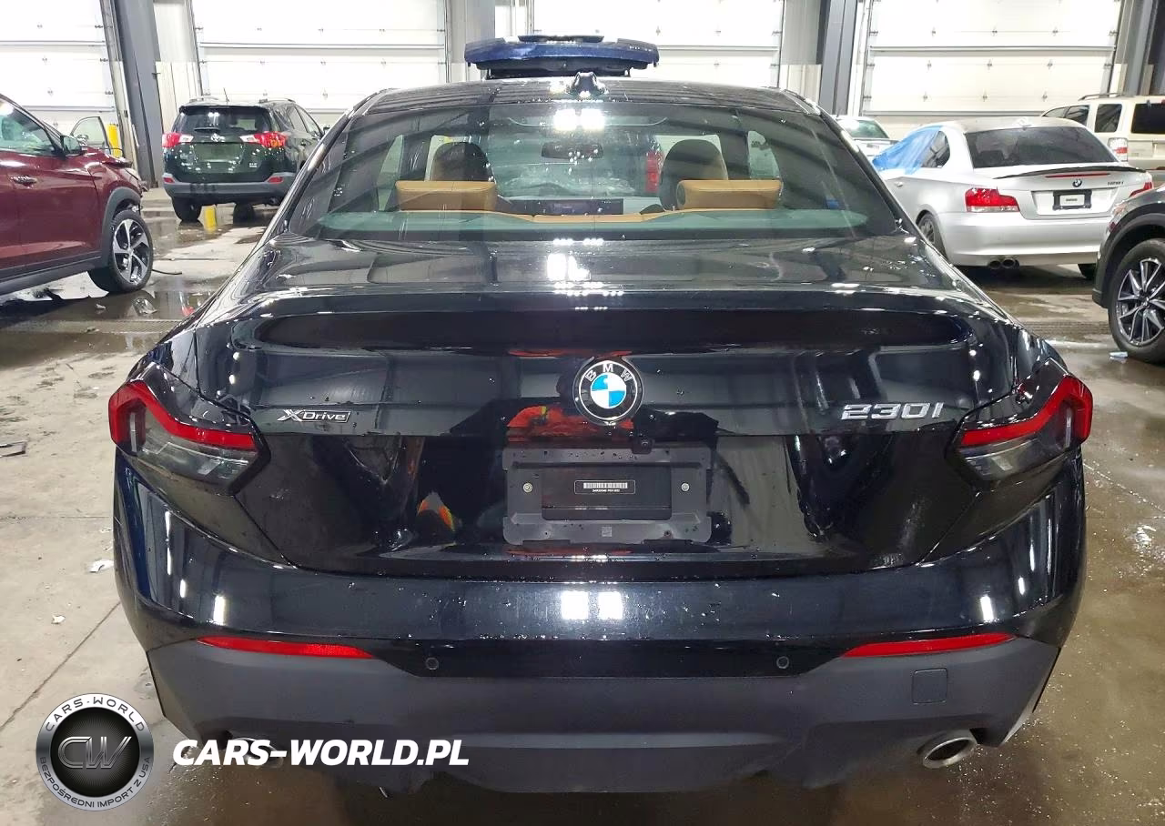 2023 BMW 230Xi VIN:3MW33CM01P8D15922 - 6