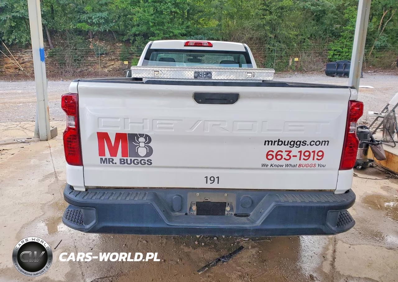 2019 Chevrolet Silverado VIN:3GCNWAEFXKG187978 - 6