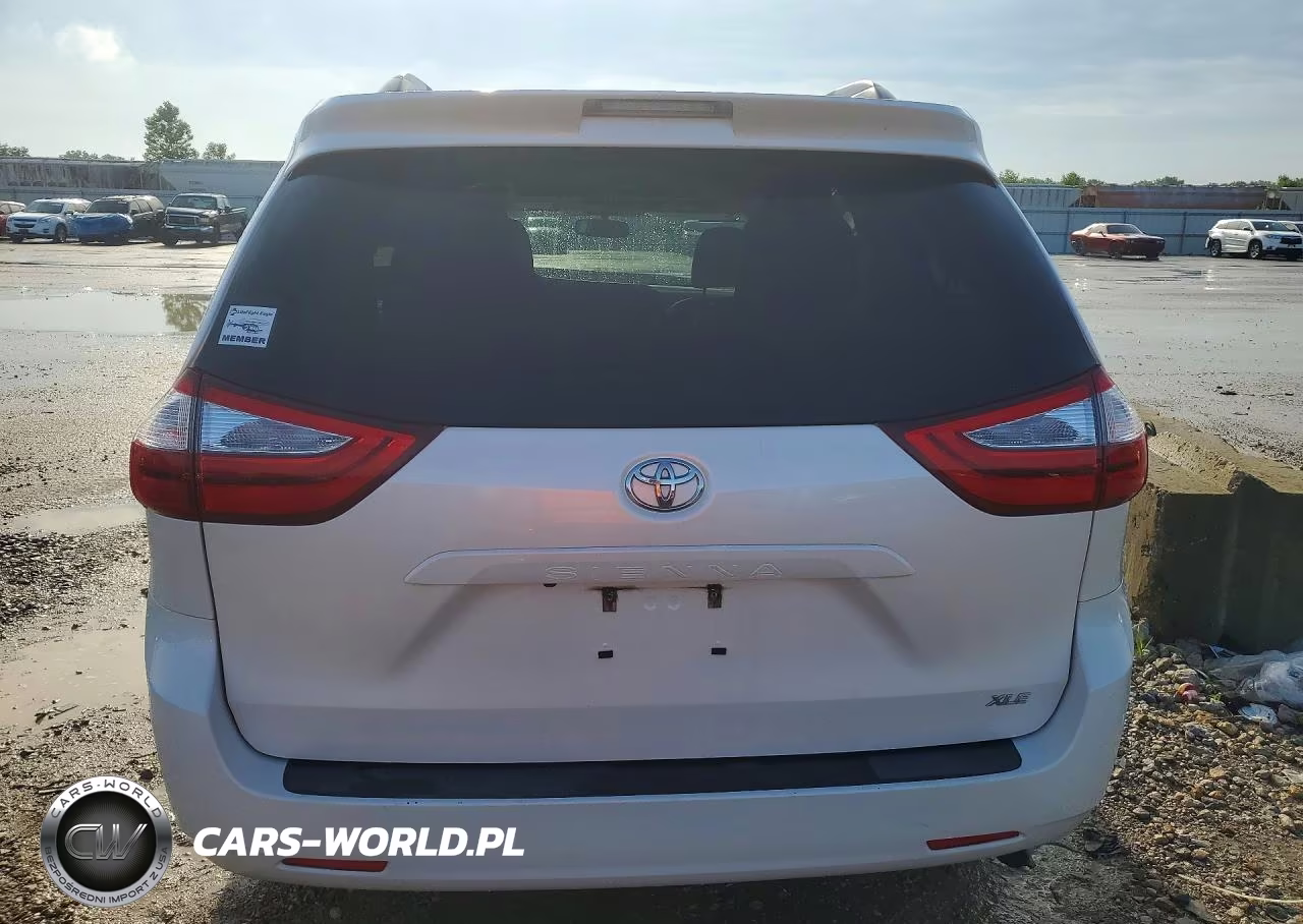 2016 Toyota Sienna Xle 8-Passenger VIN:5TDYK3DC9GS707513 - 6