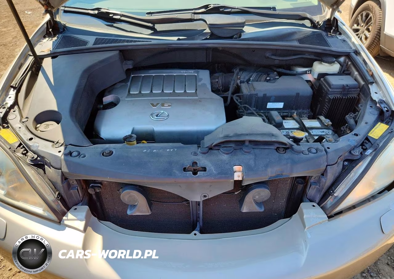 2007 Lexus Rx 350 VIN:2T2HK31U47C008193 - 12
