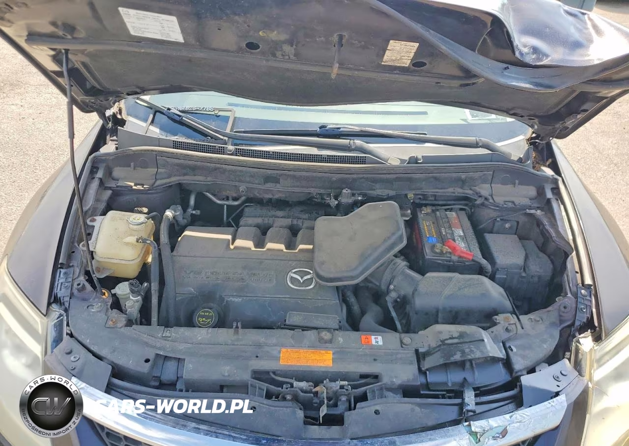 2009 Mazda Cx-9 VIN:JM3TB38V890180499 - 12