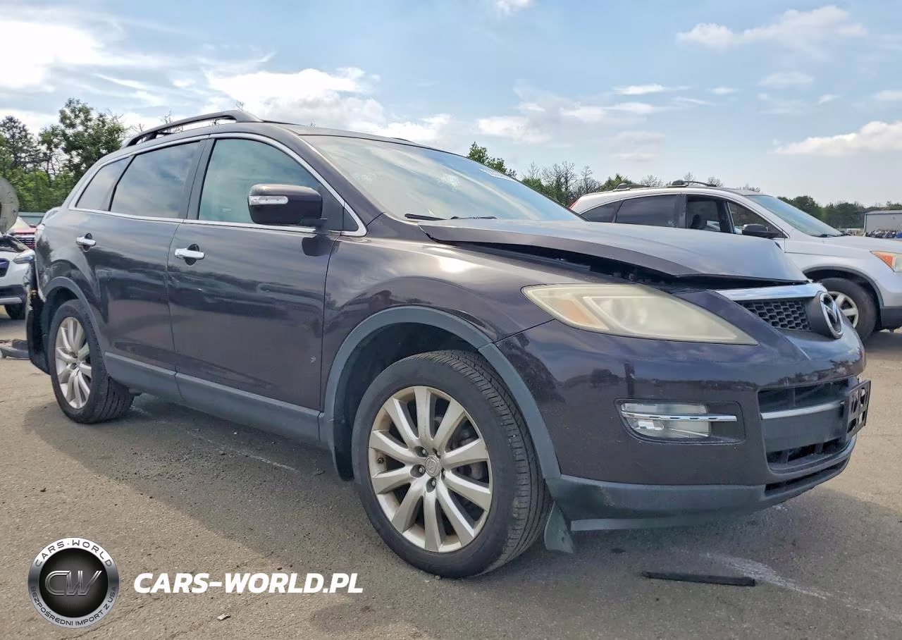 2009 Mazda Cx-9 VIN:JM3TB38V890180499 - 4