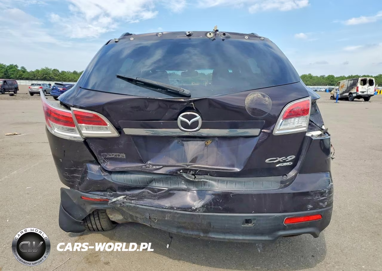 2009 Mazda Cx-9 VIN:JM3TB38V890180499 - 6