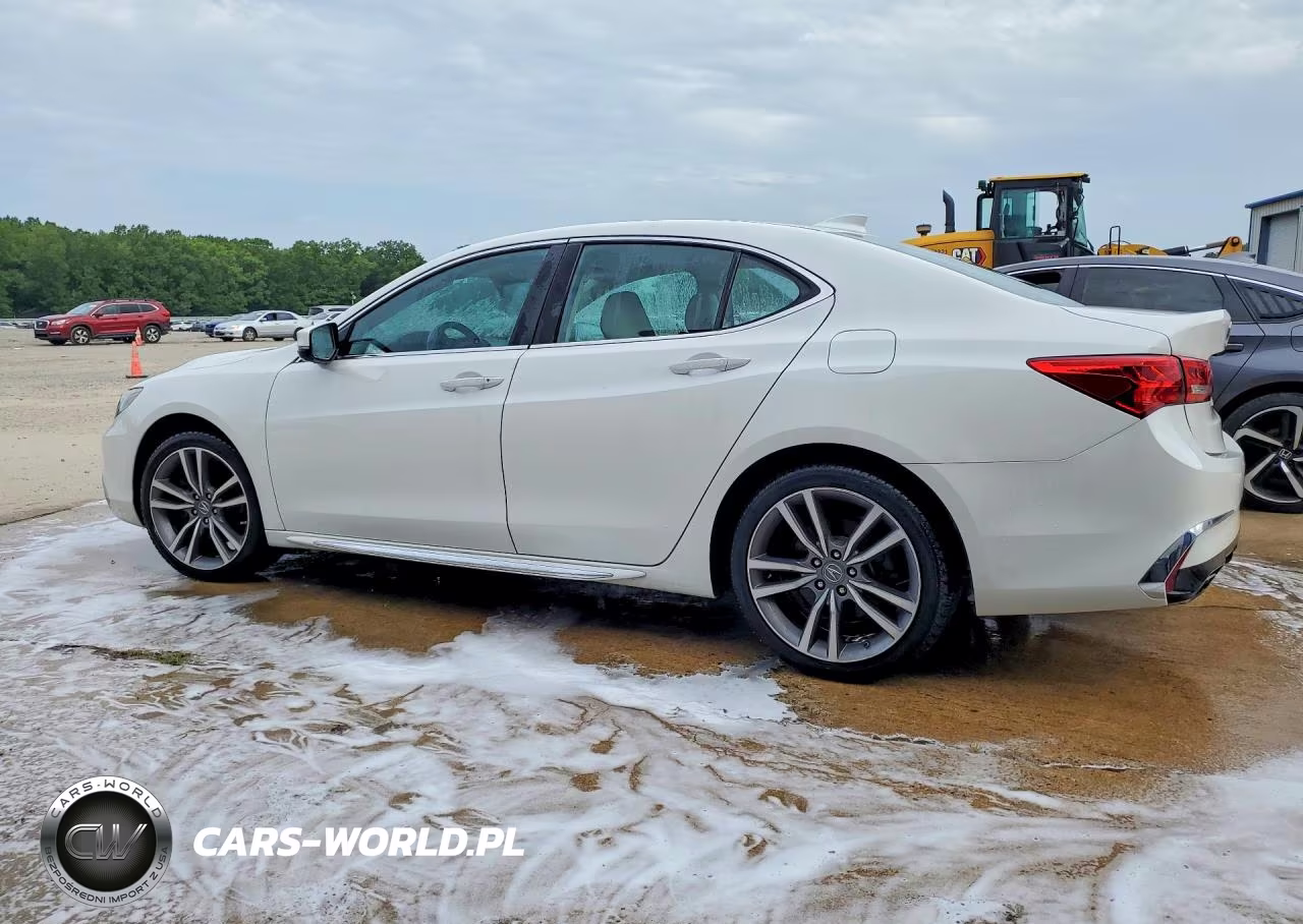 2020 Acura Tlx Technology VIN:19UUB3F4XLA003091 - 2