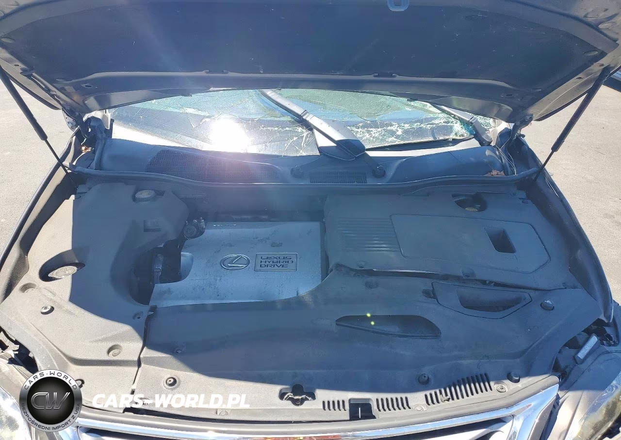 2014 Lexus Rx 450H VIN:JTJBC1BA5E2455219 - 11
