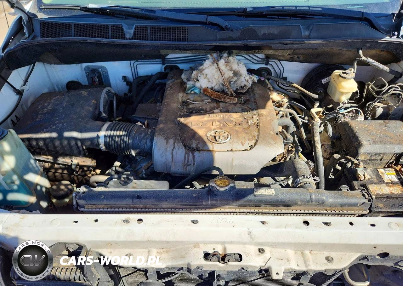 2009 Toyota Tundra Grade VIN:5TFBW54199X084931 - 11