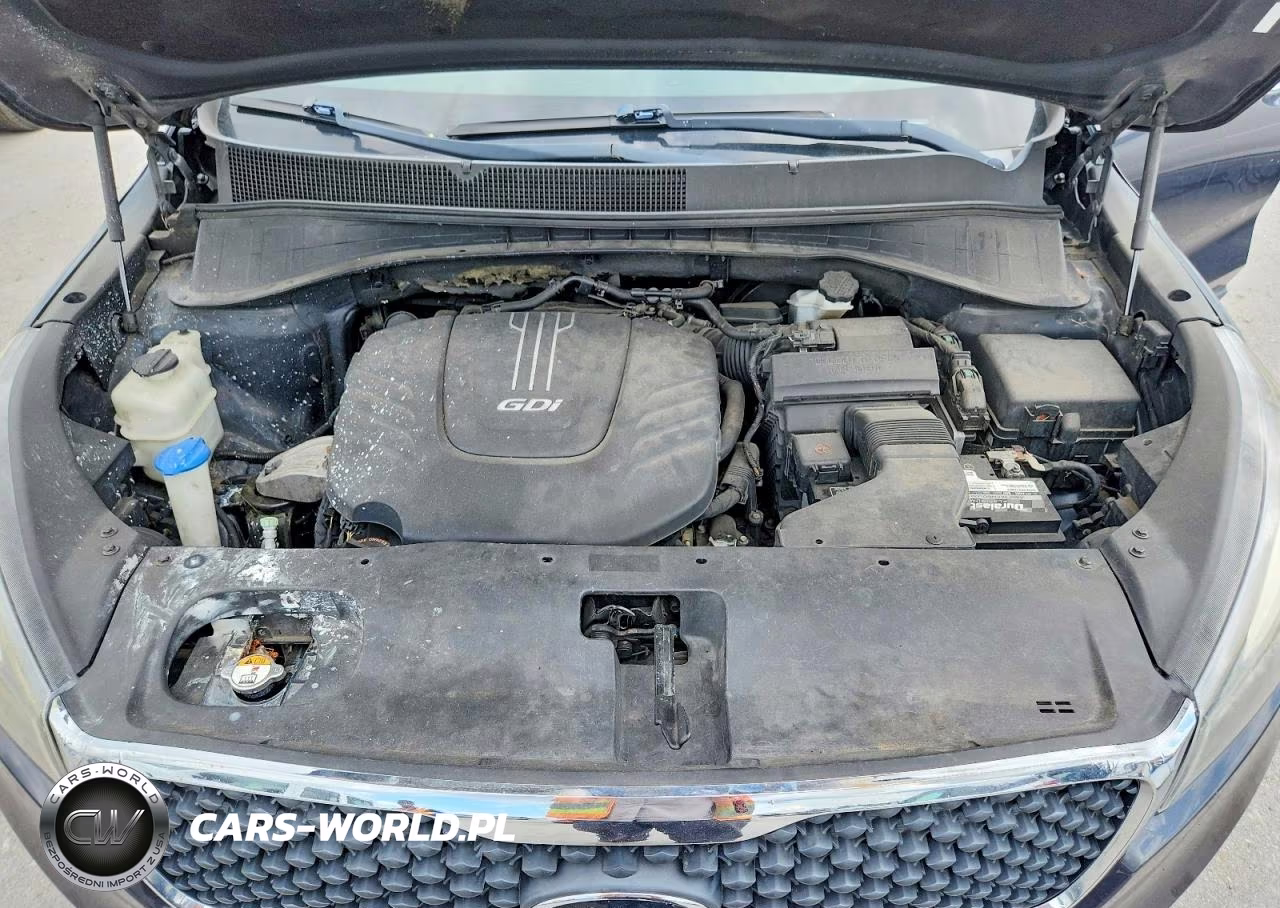 2017 Kia Sorento Ex-Ex Sport VIN:5XYPG4A53HG236711 - 12