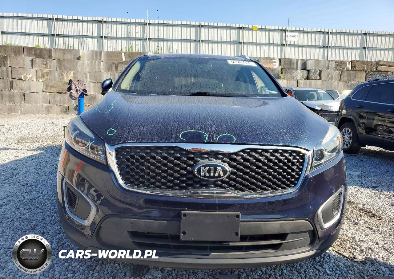 2017 Kia Sorento Lx VIN:5XYPG4A38HG258427 - 5