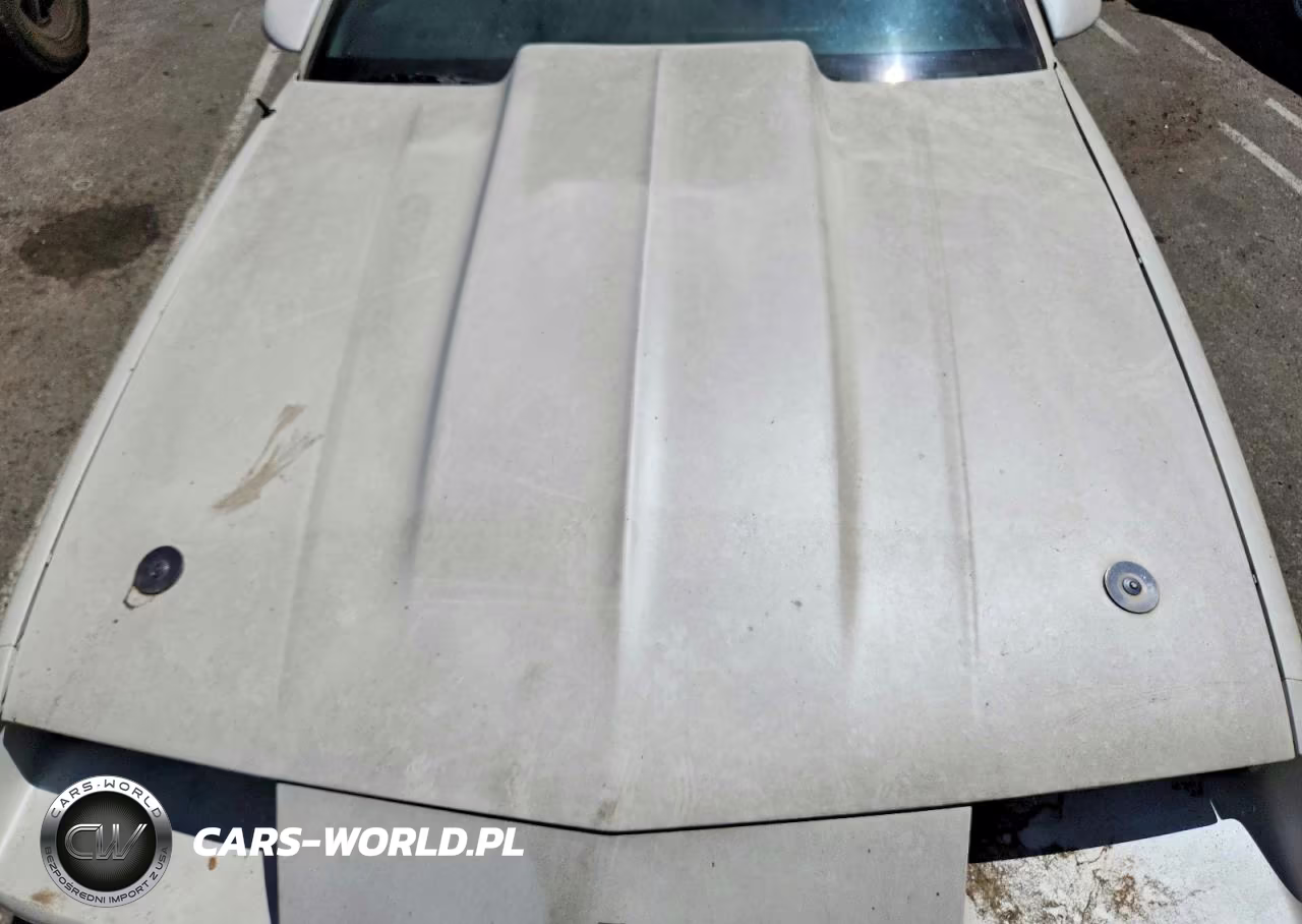 1989 Chevrolet Camaro VIN:1G1FP21SXKL182768 - 11
