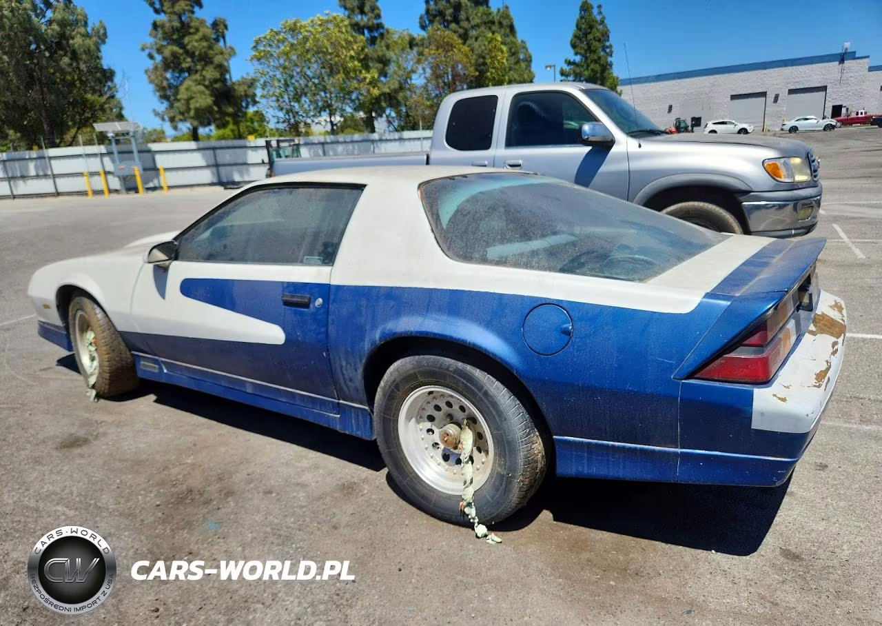 1989 Chevrolet Camaro VIN:1G1FP21SXKL182768 - 2
