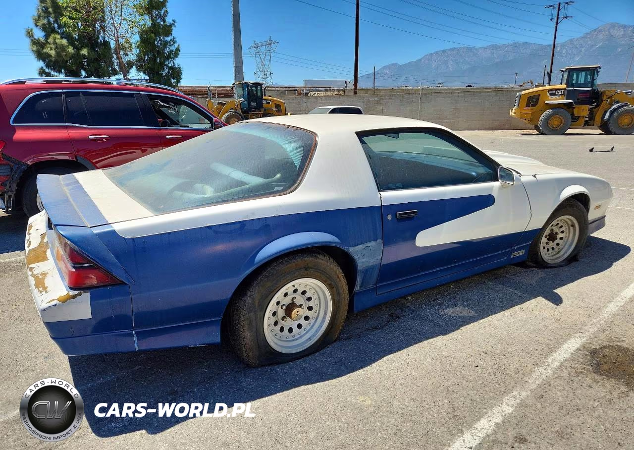 1989 Chevrolet Camaro VIN:1G1FP21SXKL182768 - 3