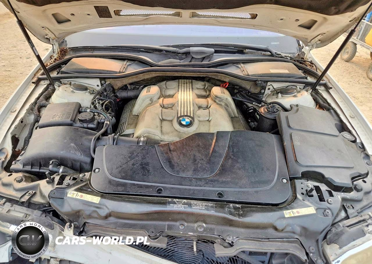2003 BMW 745 Li VIN:WBAGN63443DR08429 - 11