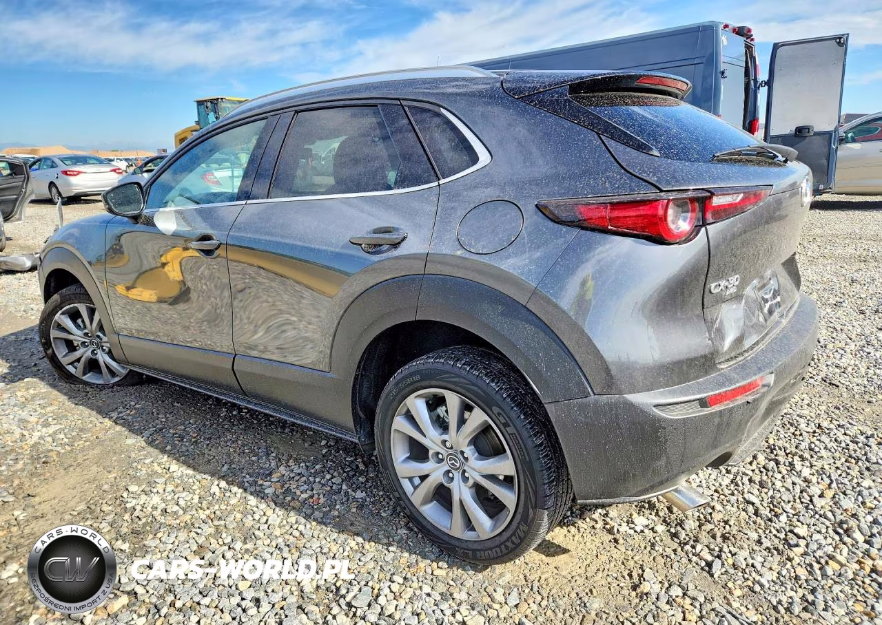 2022 Mazda Cx-30 Premium VIN:3MVDMBDL2NM442156 - 2