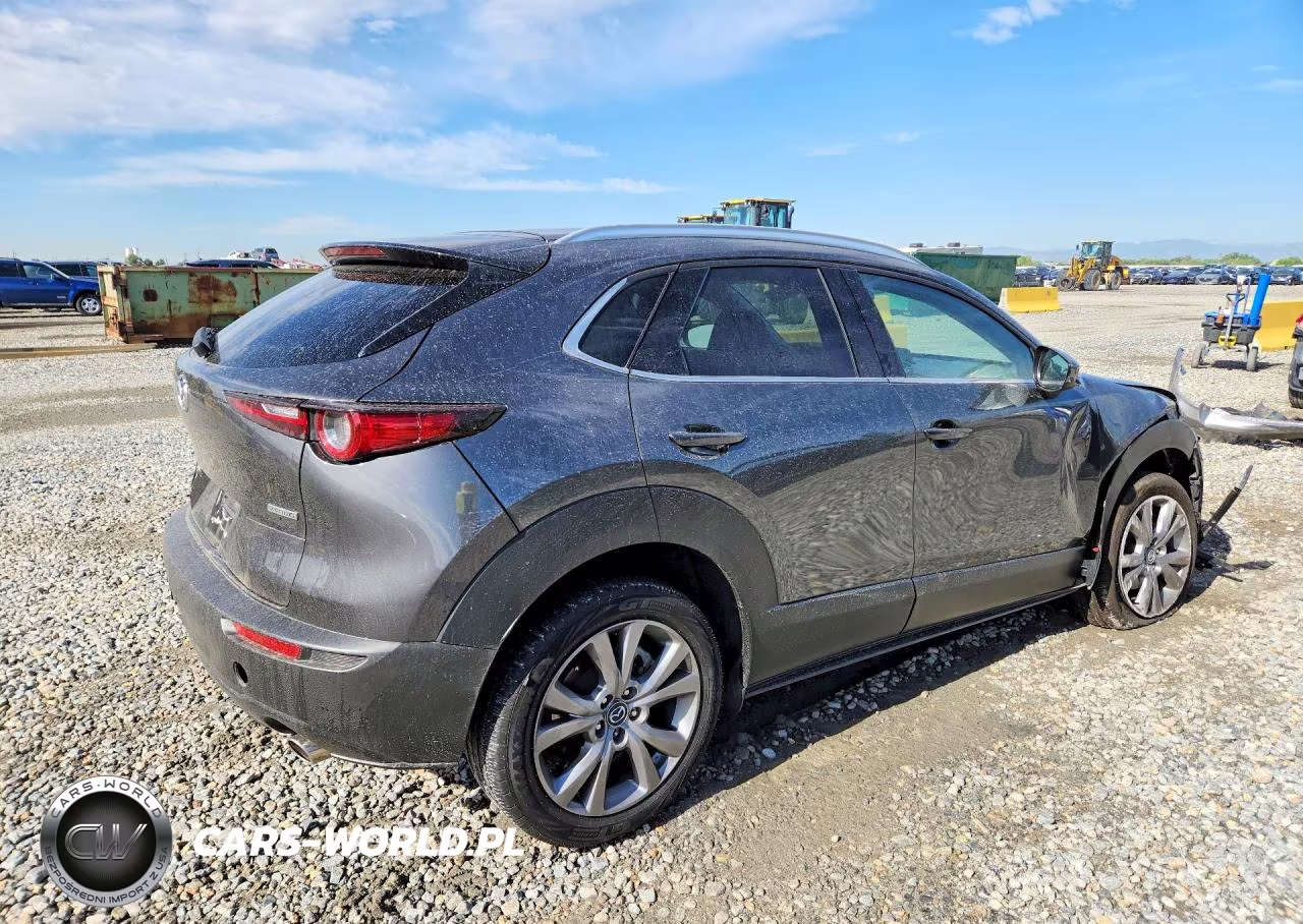 2022 Mazda Cx-30 Premium VIN:3MVDMBDL2NM442156 - 3
