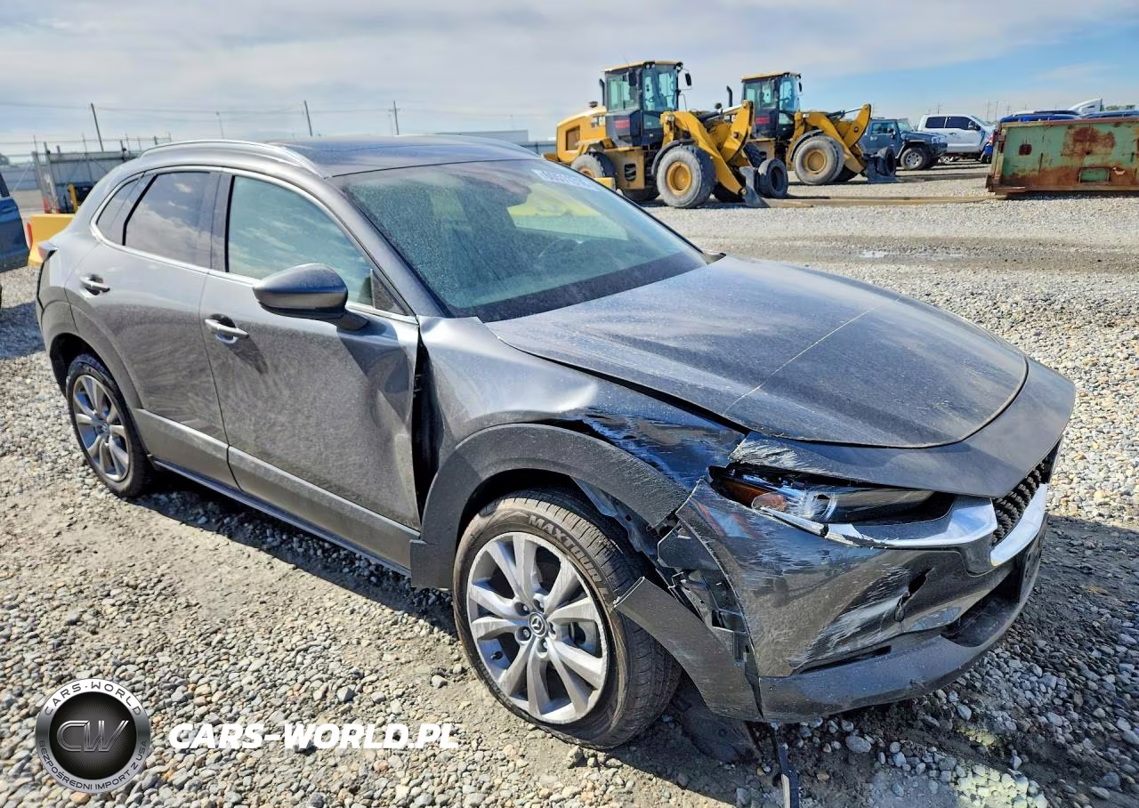 2022 Mazda Cx-30 Premium VIN:3MVDMBDL2NM442156 - 4