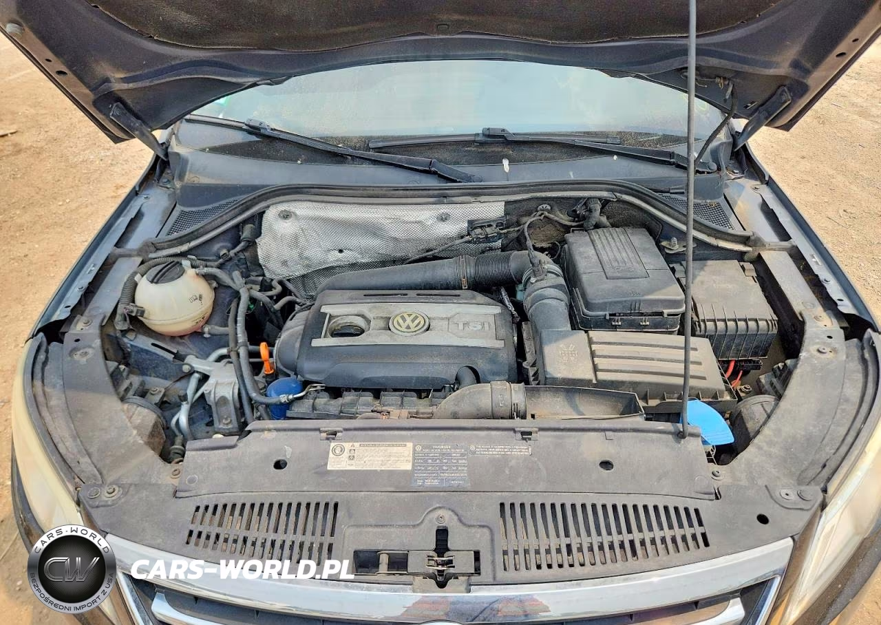 2009 Volkswagen Tiguan Se VIN:WVGBV75NX9W528495 - 12