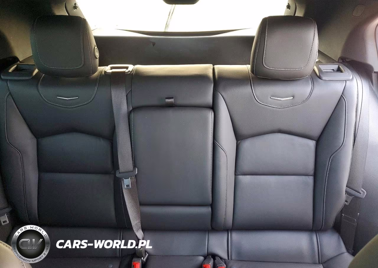 2024 Cadillac Xt4 Premium Luxury VIN:1GYFZCR47RF146729 - 10