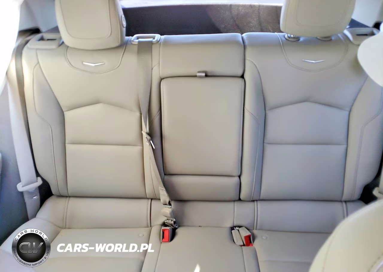 2019 Cadillac Xt4 Luxury VIN:1GYAZAR4XKF220830 - 10