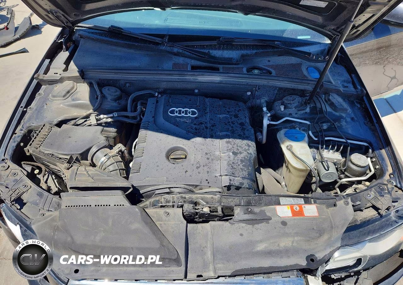 2010 Audi A4 Premium Plus VIN:WAUFFAFL0AN049541 - 11
