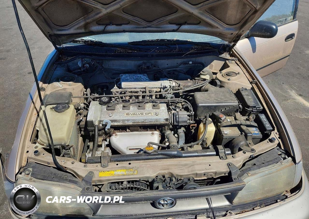 1994 Toyota Corolla Dx VIN:JT2AE09V5R0048149 - 11