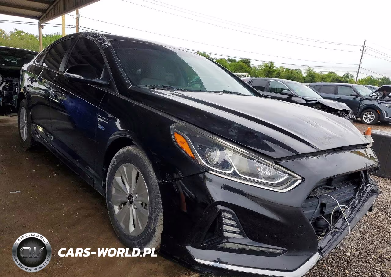 2019 Hyundai Sonata Hybrid Se VIN:KMHE24L30KA088148 - 4