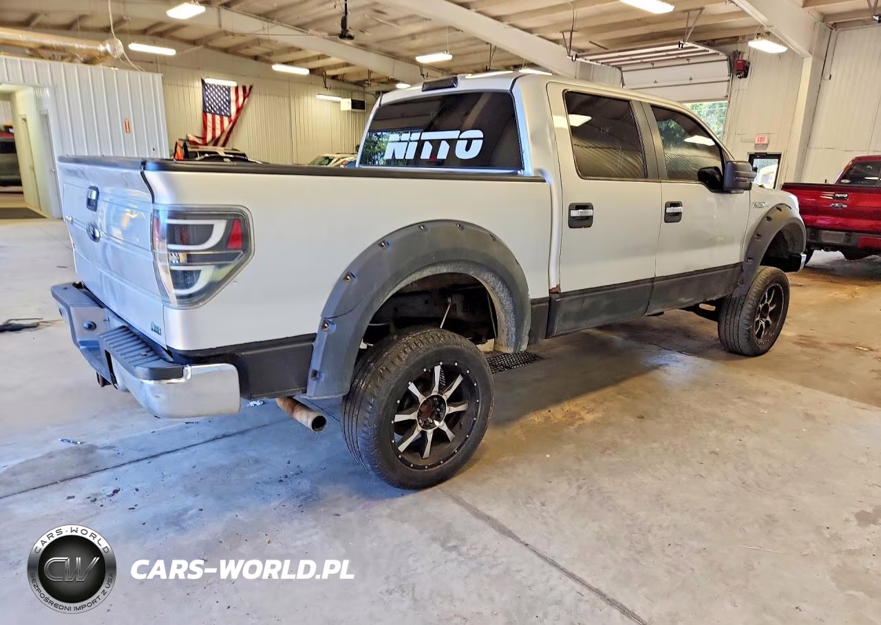 2010 Ford F150 Supercrew VIN:1FTFW1EVXAFA03196 - 3
