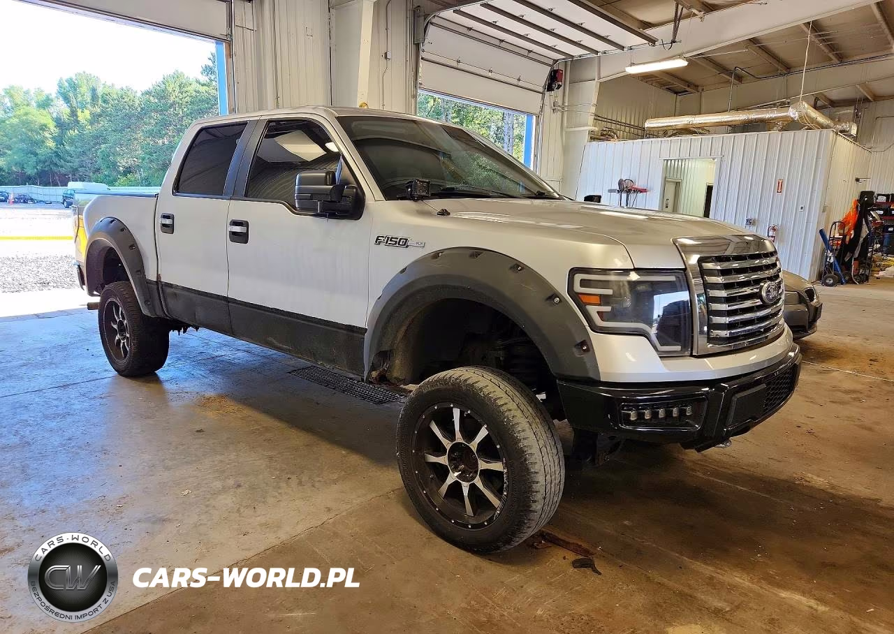 2010 Ford F150 Supercrew VIN:1FTFW1EVXAFA03196 - 4