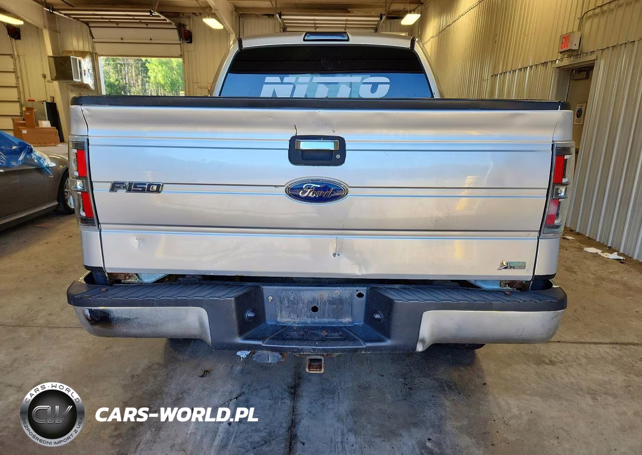 2010 Ford F150 Supercrew VIN:1FTFW1EVXAFA03196 - 6
