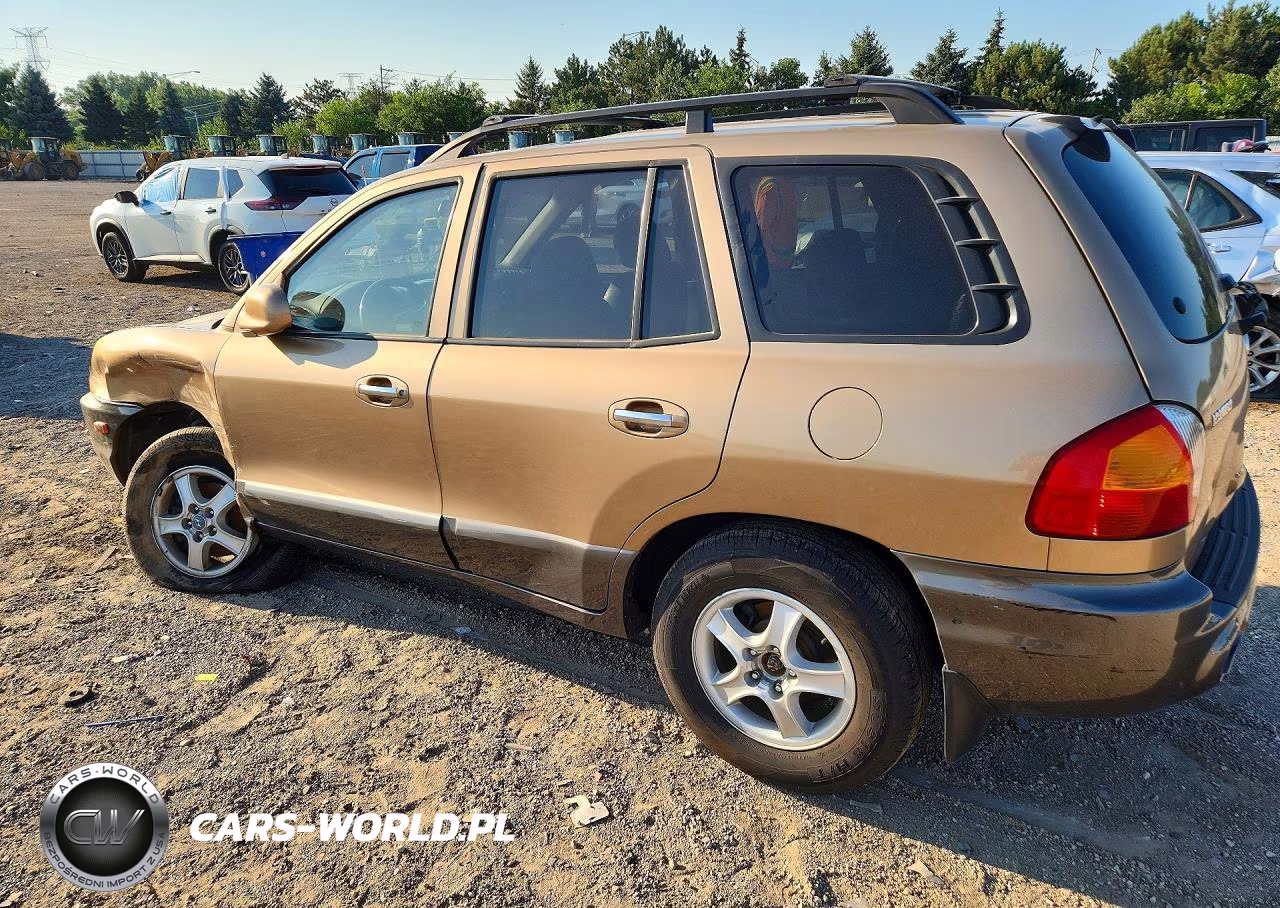 2002 Hyundai Santa Fe Gls VIN:KM8SC73D32U314028 - 2