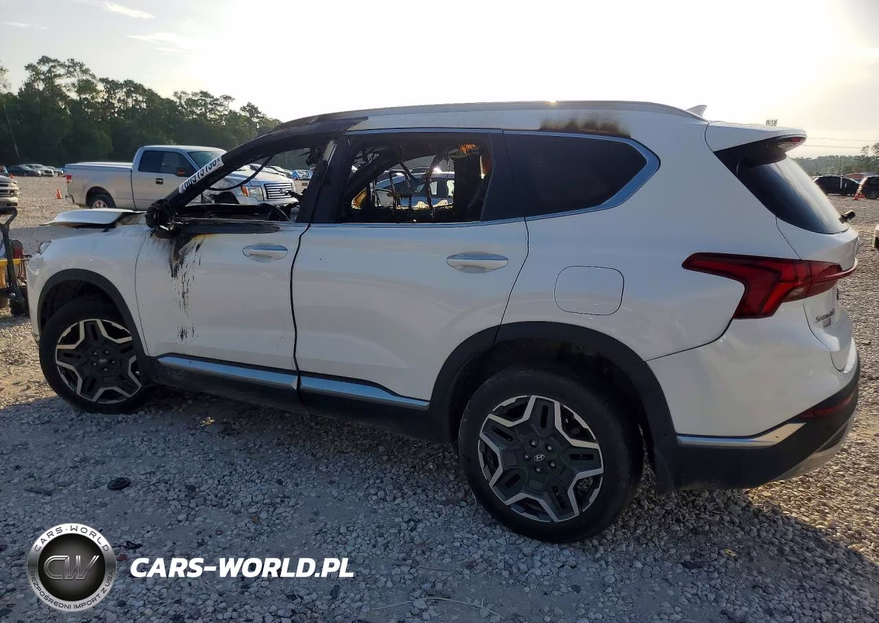 2023 Hyundai Santa Fe Limited VIN:5NMS4DAL3PH536433 - 2