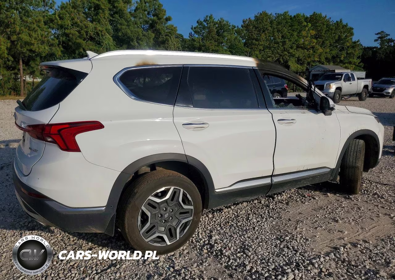 2023 Hyundai Santa Fe Limited VIN:5NMS4DAL3PH536433 - 3