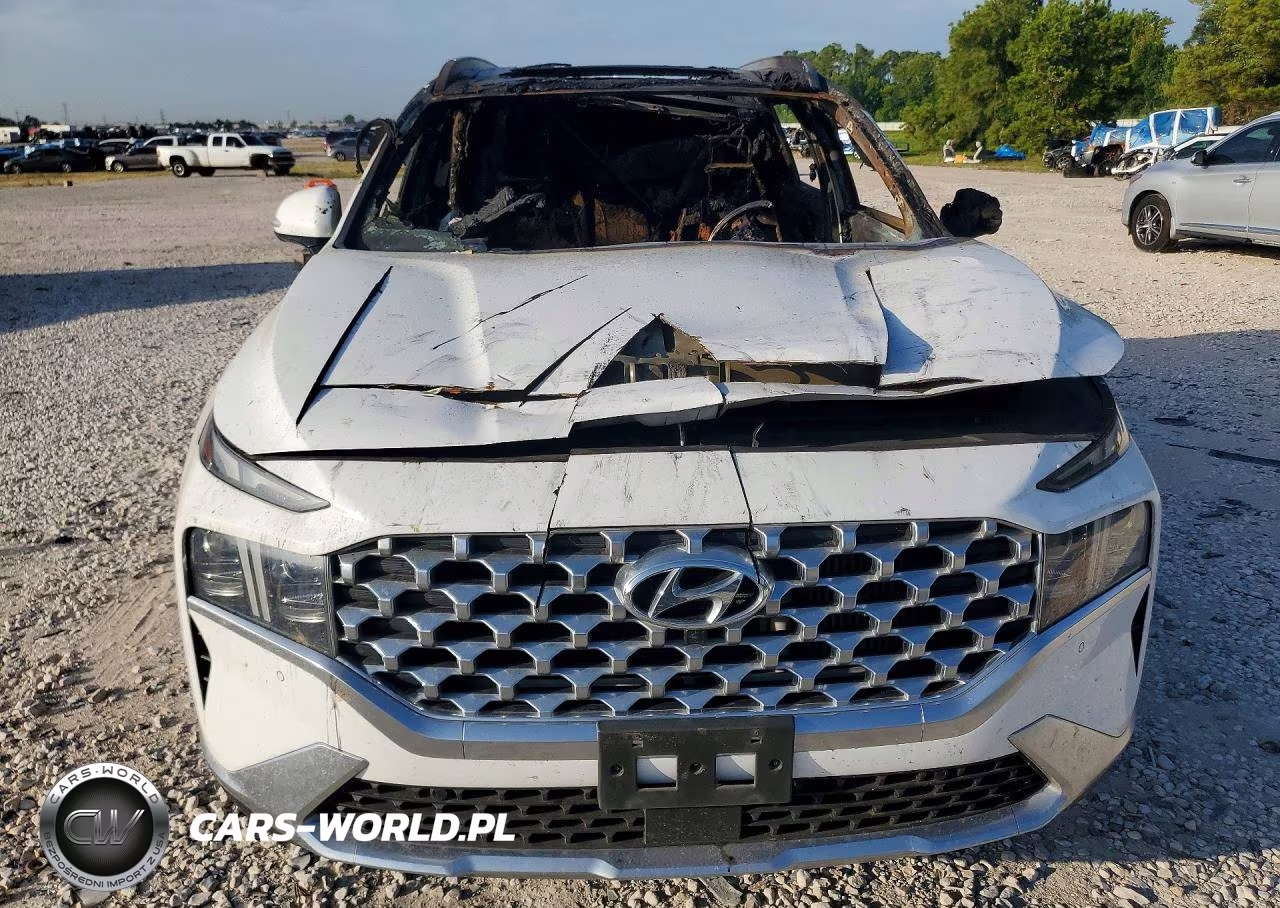 2023 Hyundai Santa Fe Limited VIN:5NMS4DAL3PH536433 - 5