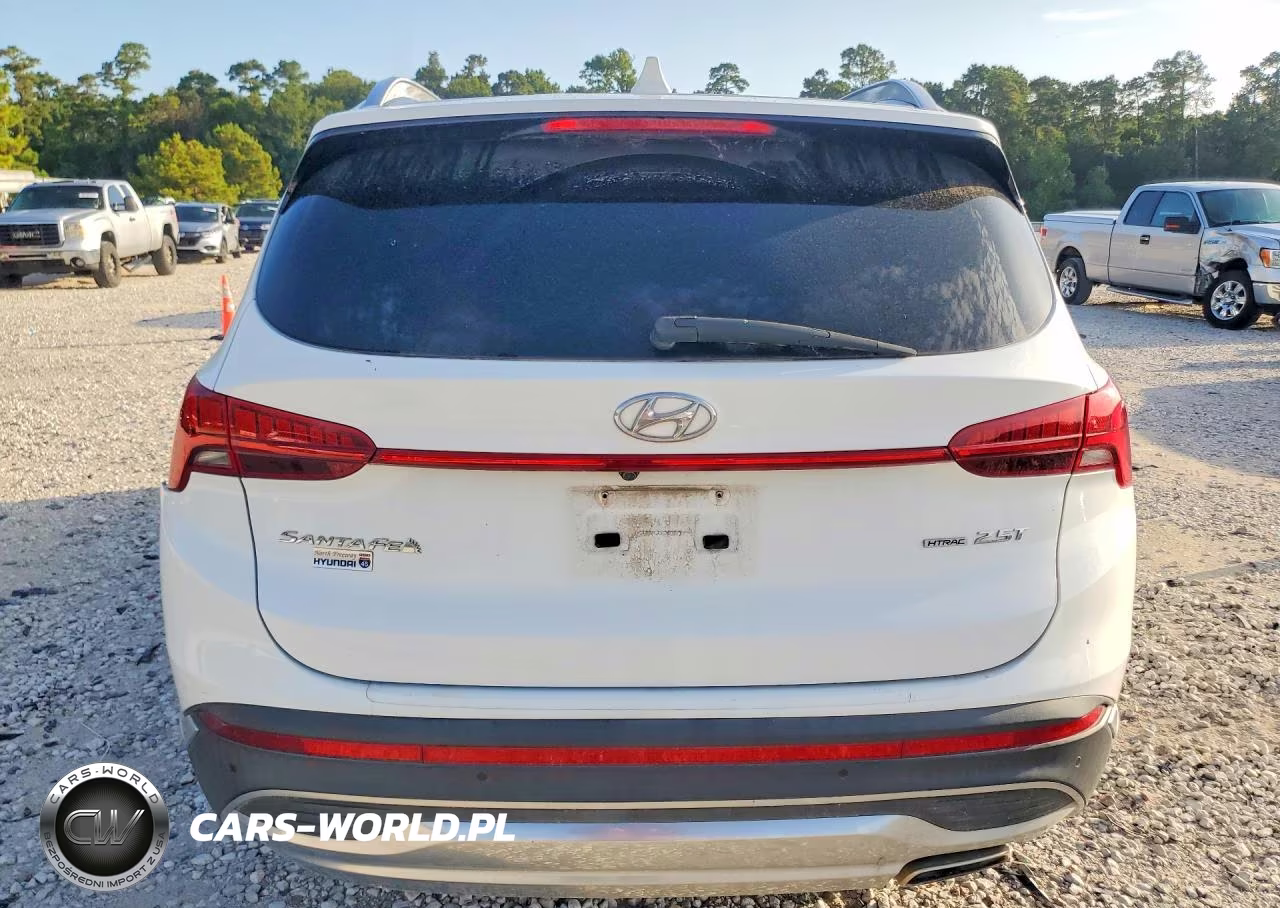 2023 Hyundai Santa Fe Limited VIN:5NMS4DAL3PH536433 - 6