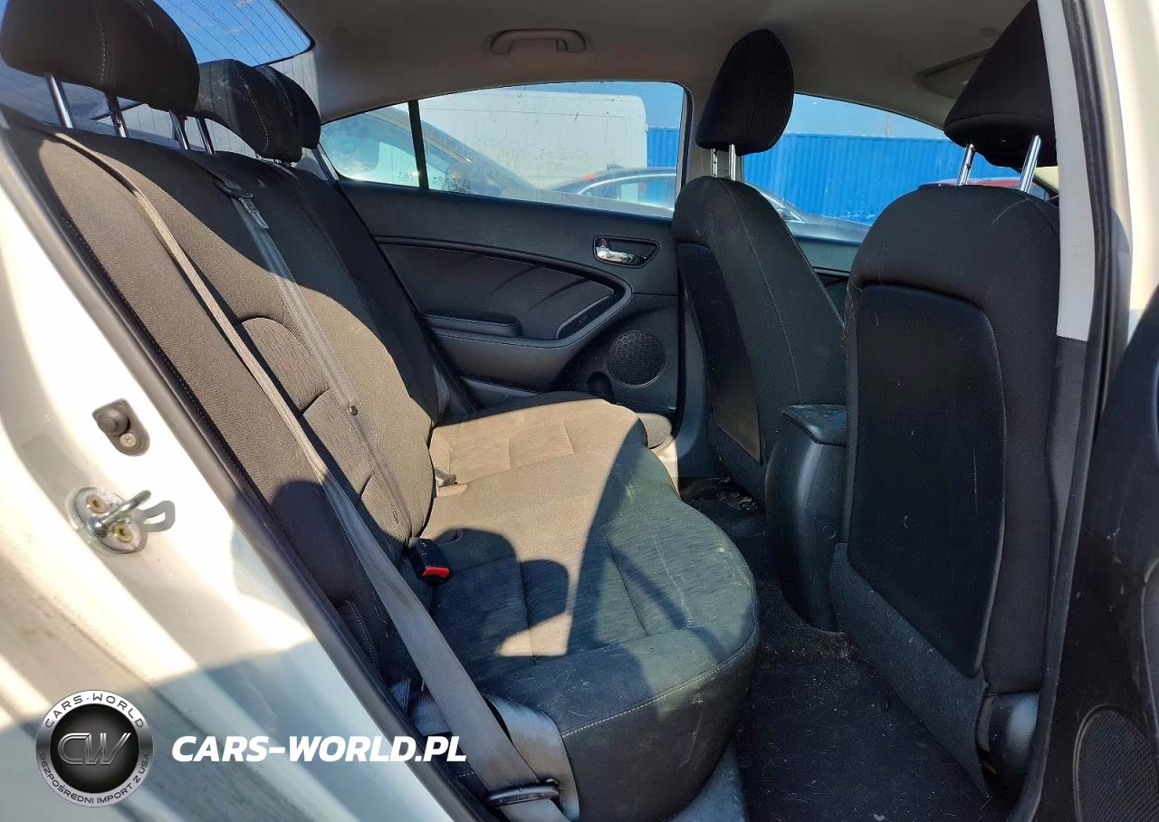2016 Kia Forte Lx VIN:KNAFK4A68G5533965 - 10