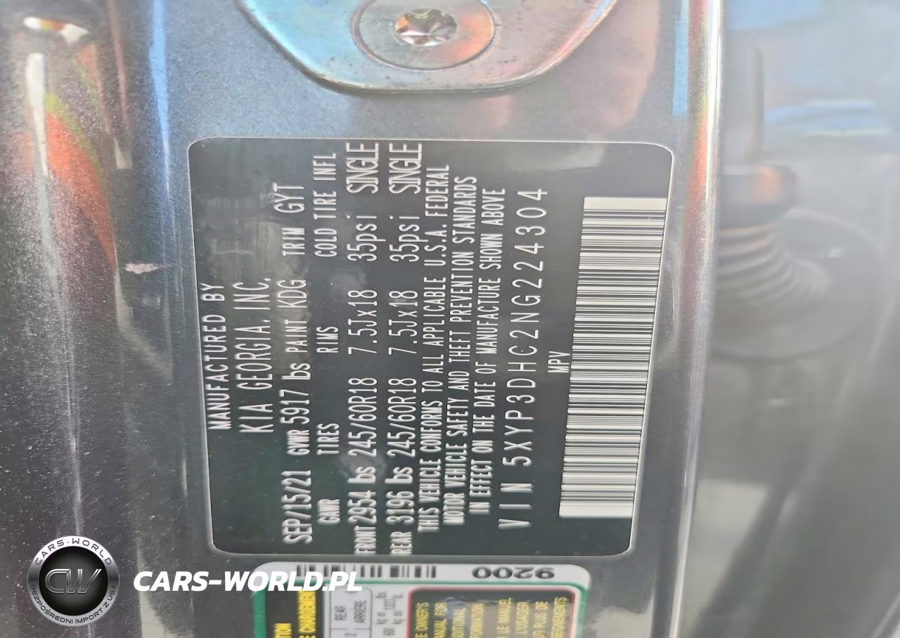 2022 Kia Telluride Ex VIN:5XYP3DHC2NG224304 - 13