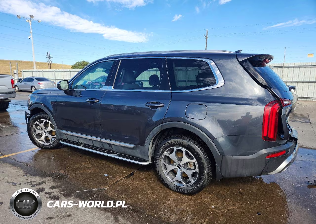 2022 Kia Telluride Ex VIN:5XYP3DHC2NG224304 - 2