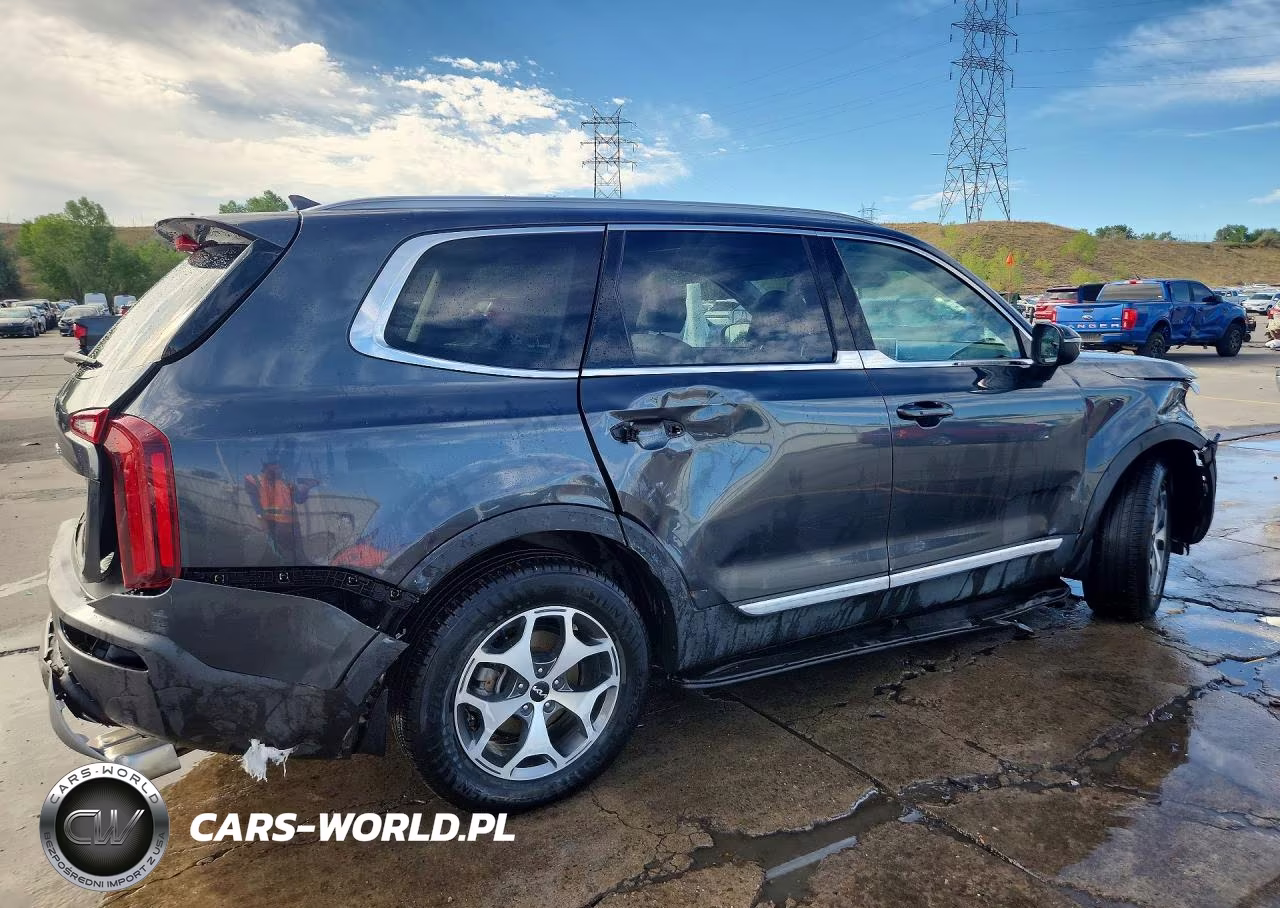 2022 Kia Telluride Ex VIN:5XYP3DHC2NG224304 - 3