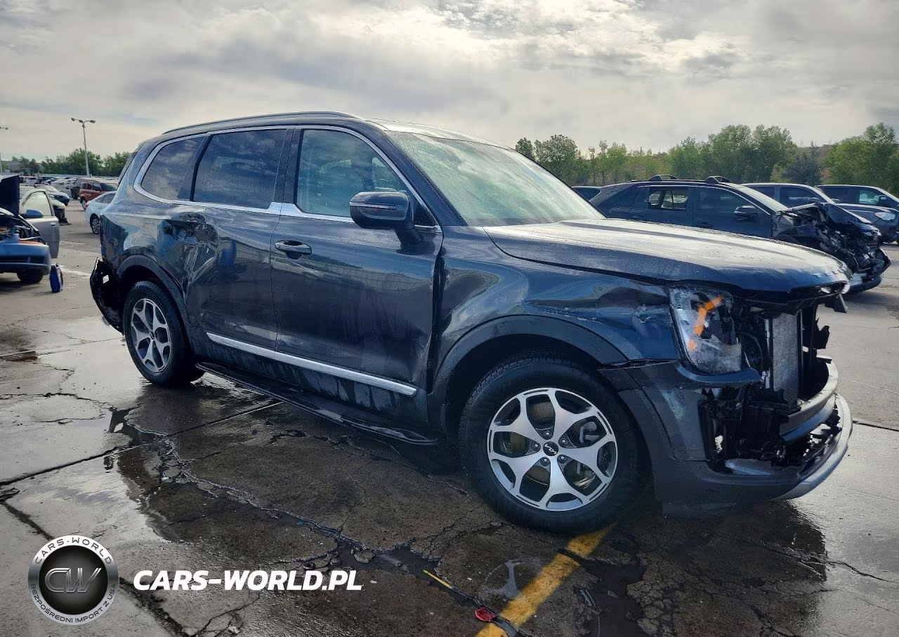 2022 Kia Telluride Ex VIN:5XYP3DHC2NG224304 - 4