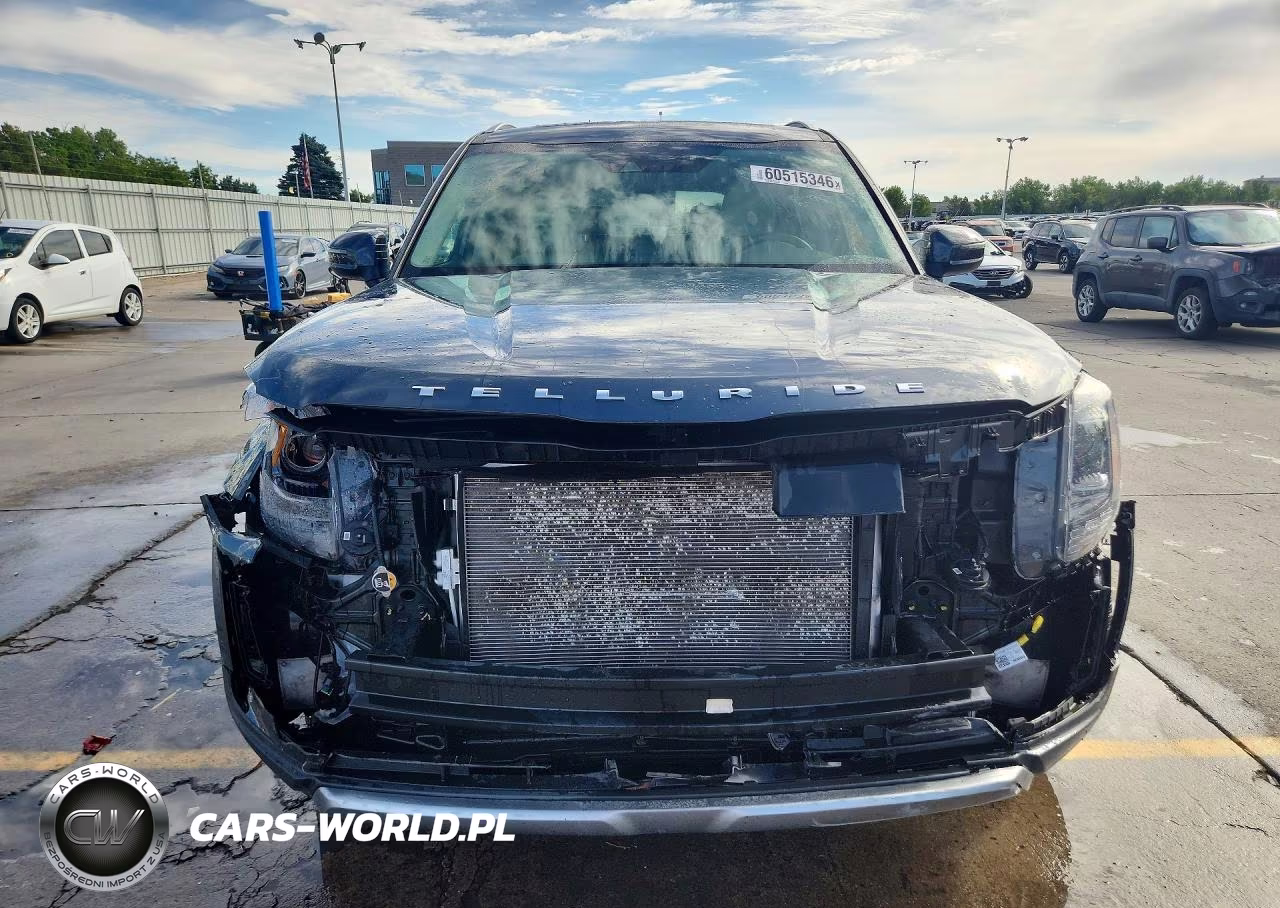 2022 Kia Telluride Ex VIN:5XYP3DHC2NG224304 - 5
