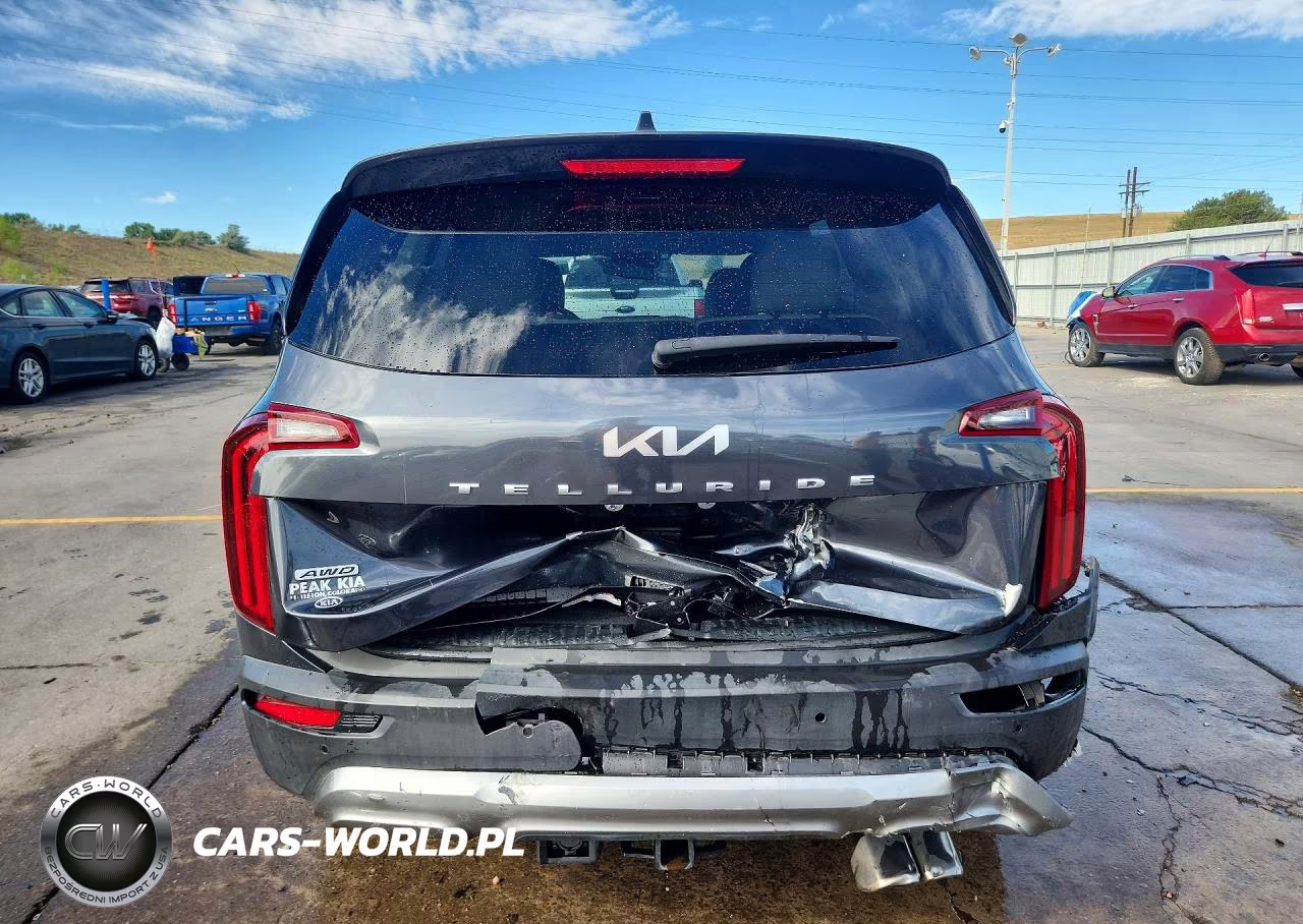 2022 Kia Telluride Ex VIN:5XYP3DHC2NG224304 - 6