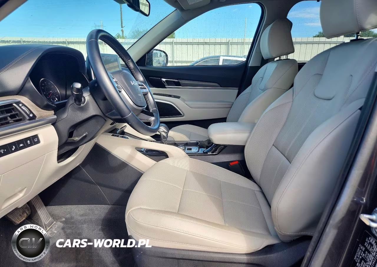 2022 Kia Telluride Ex VIN:5XYP3DHC2NG224304 - 7