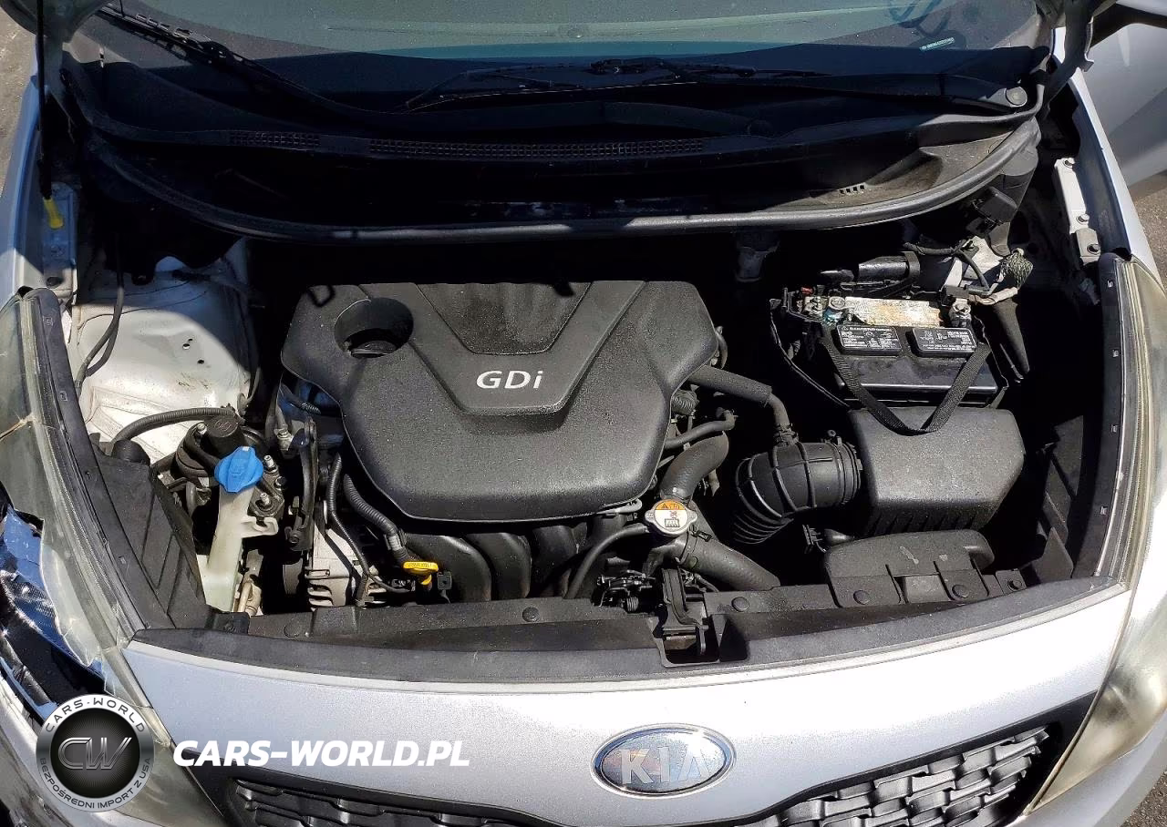 2014 Kia Rio Lx VIN:KNADM4A35E6354619 - 11