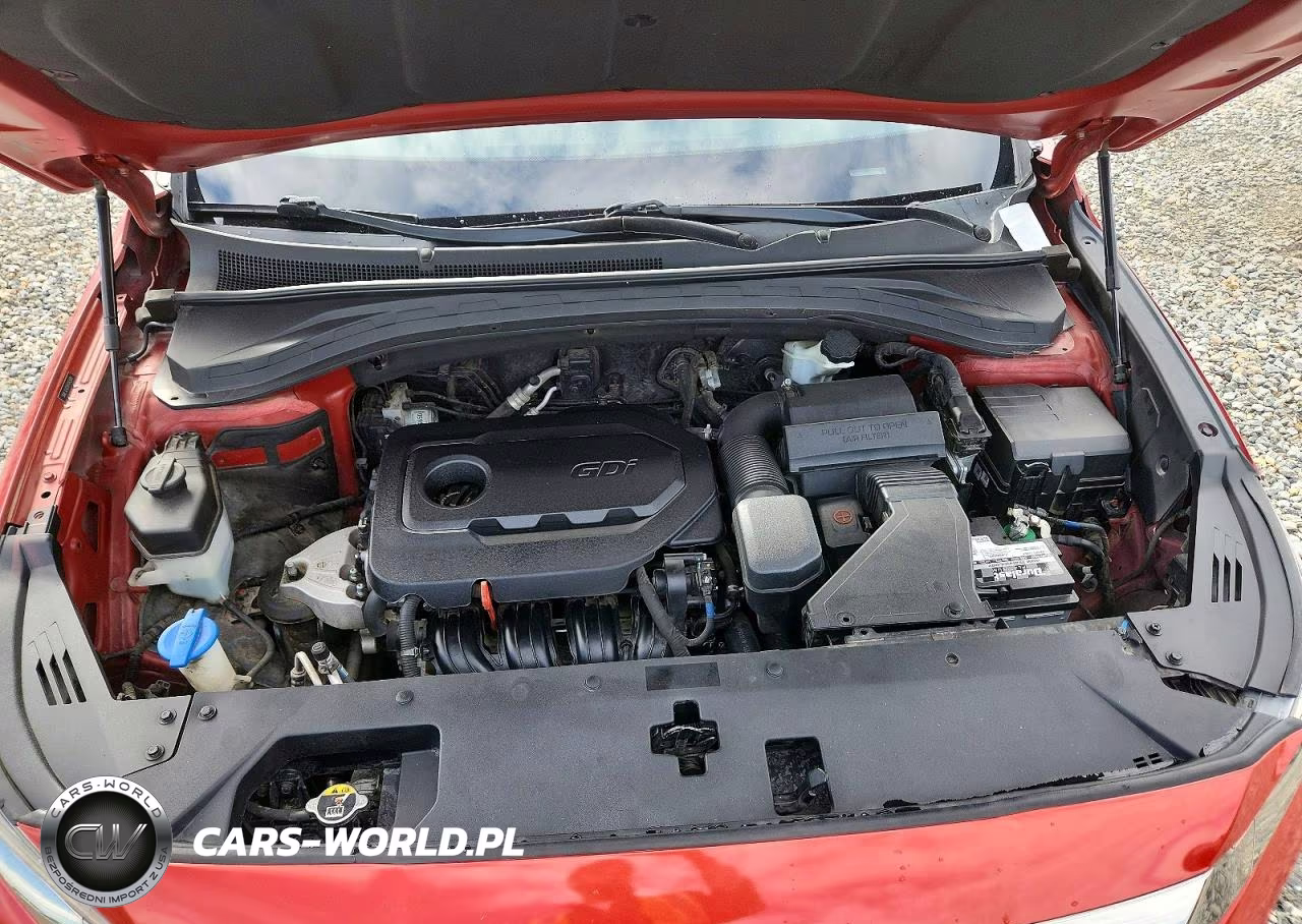 2019 Hyundai Santa Fe Sel Plus 2.4L VIN:5NMS3CAD5KH042508 - 12
