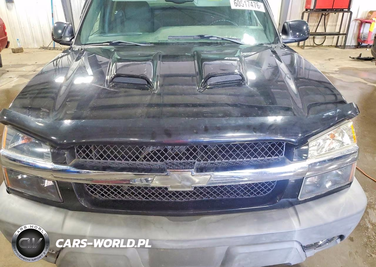 2002 Chevrolet Avalanche K1500 VIN:3GNEK13T22G165808 - 11