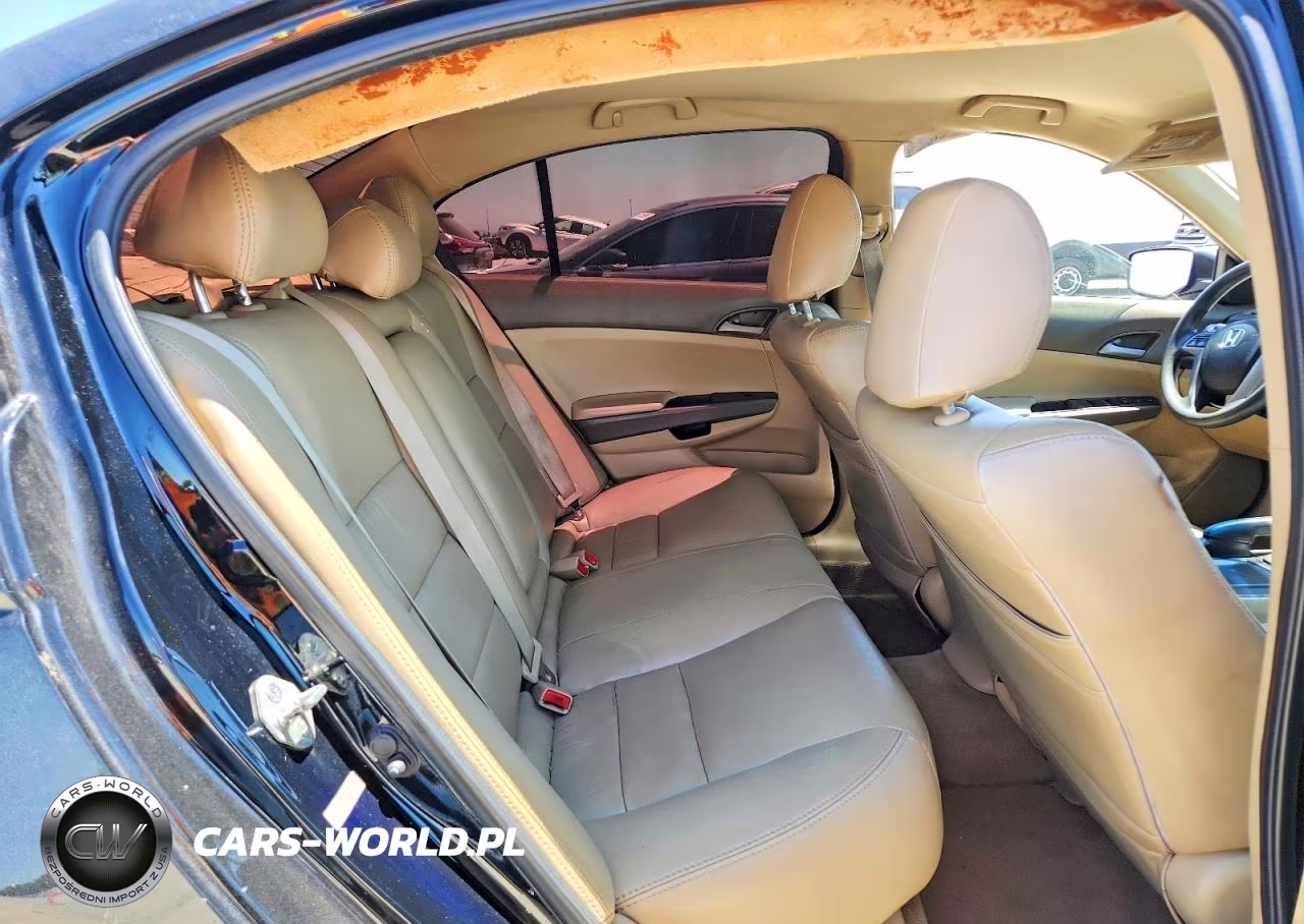 2010 Honda Accord Lx VIN:1HGCP2F30AA024012 - 10