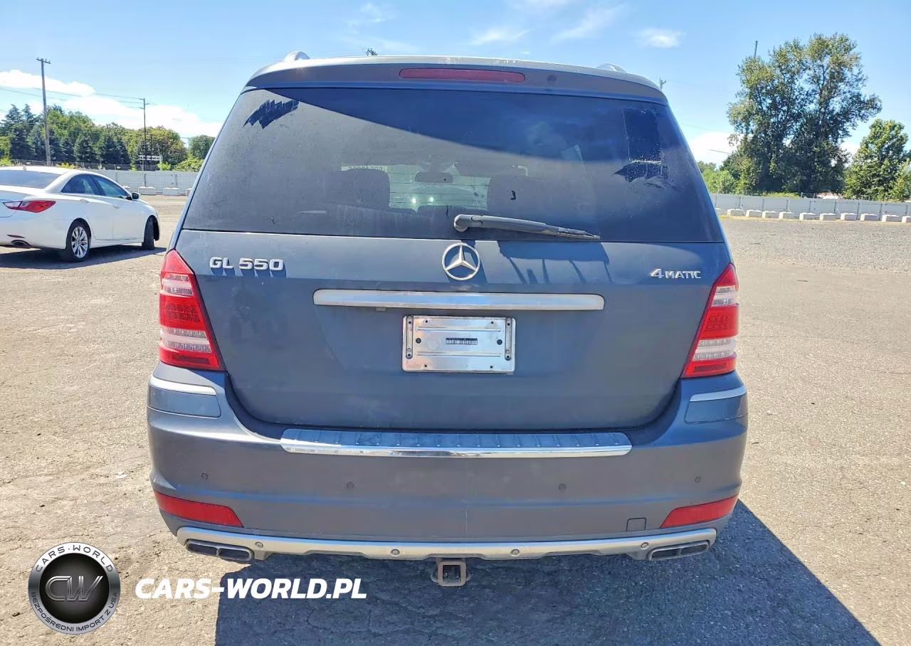 2010 Mercedes-Benz Gl 550 4Matic VIN:4JGBF8GE6AA572298 - 6