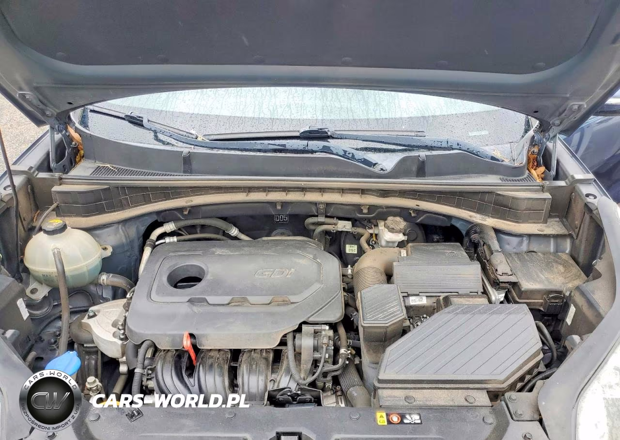 2019 Kia Sportage Ex VIN:KNDPN3AC2K7541460 - 12